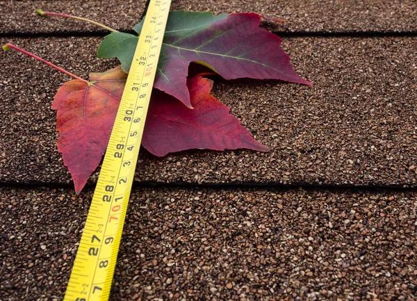 Why homeowners trust our roofing contractor Republic team